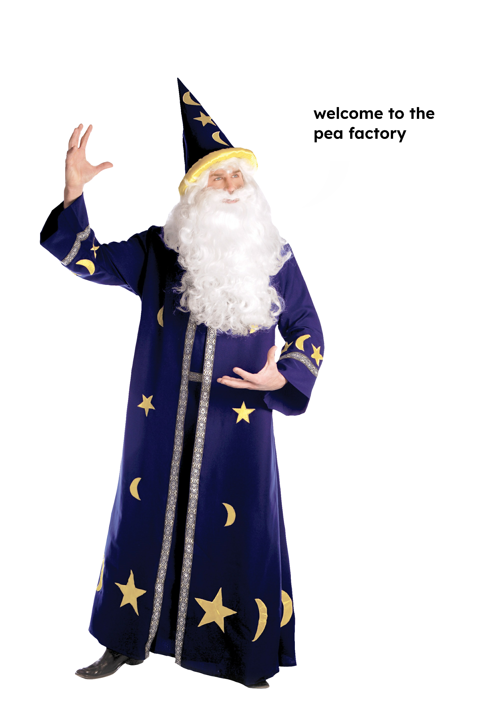 Wizard Supervisor